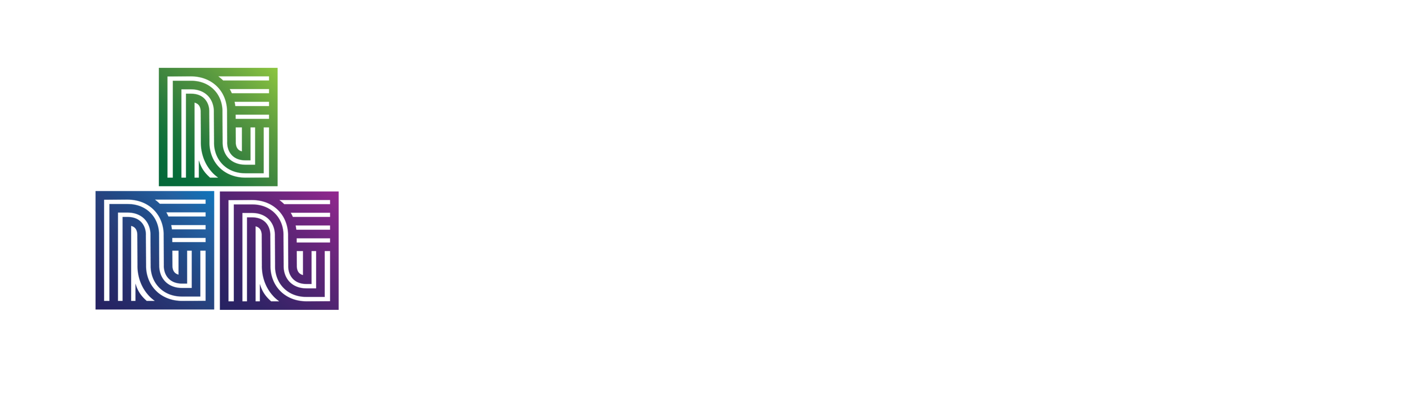 Nouveau FS Group